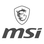 ام اس آی